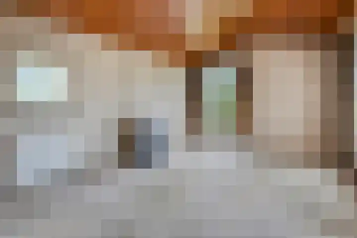 Vordensebinnenweg 53 Warnsveld thumbnail 4