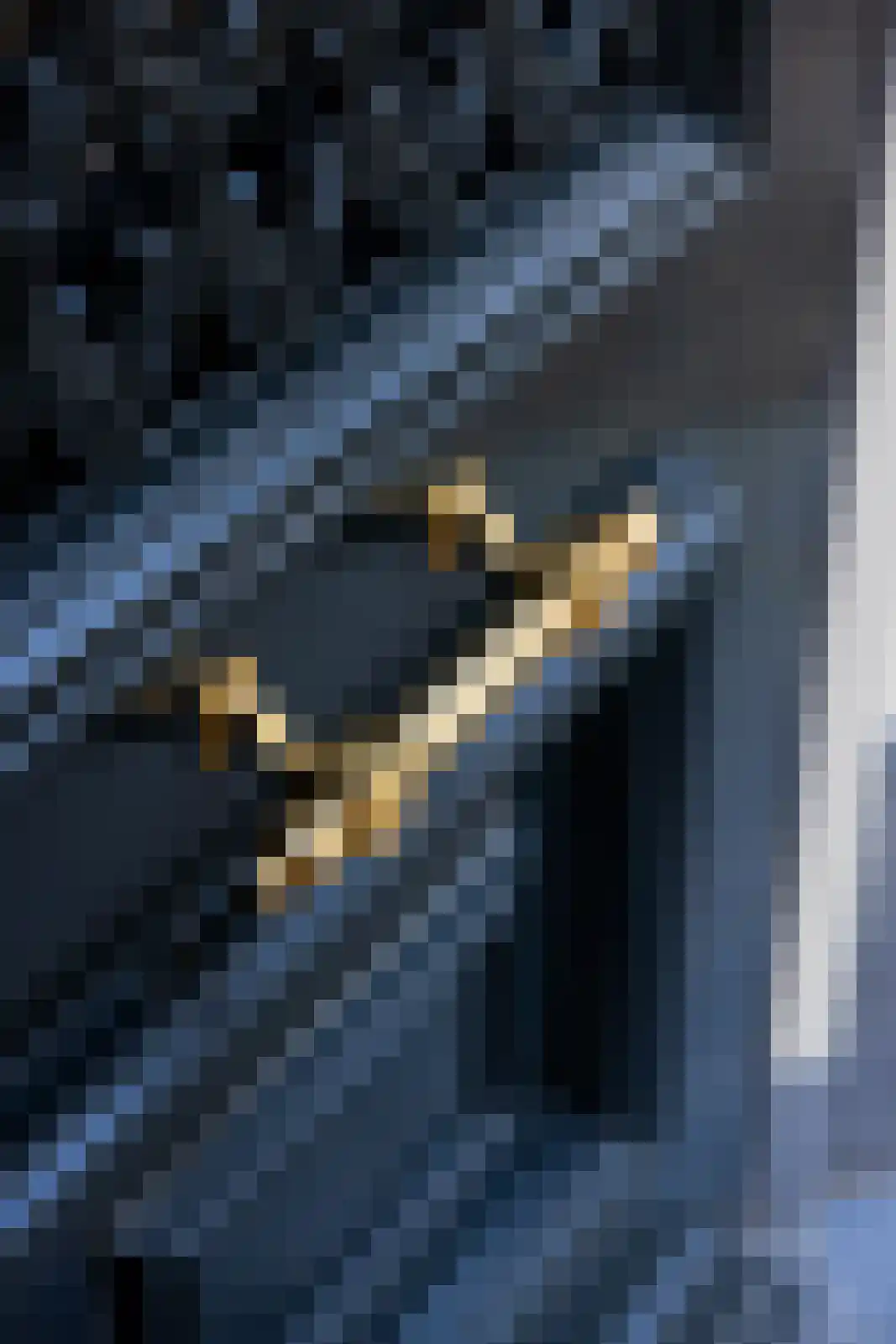 Vordensebosweg 1 Vorden thumbnail 18