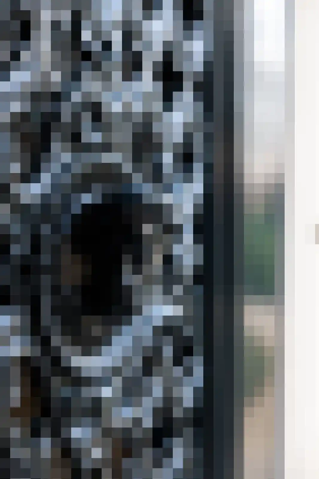 Vordensebosweg 1 Vorden thumbnail 19