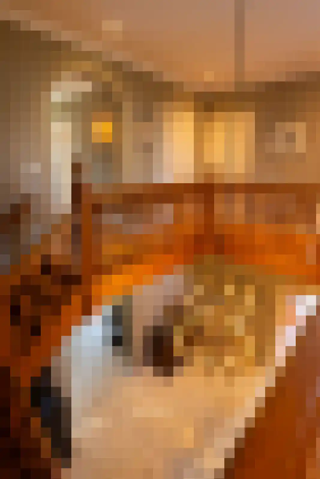 Vordensebosweg 1 Vorden thumbnail 20