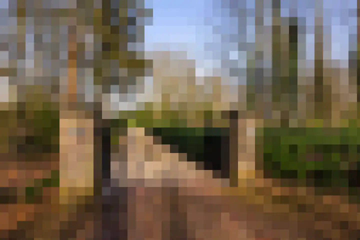 Vordensebosweg 1 Vorden thumbnail 26