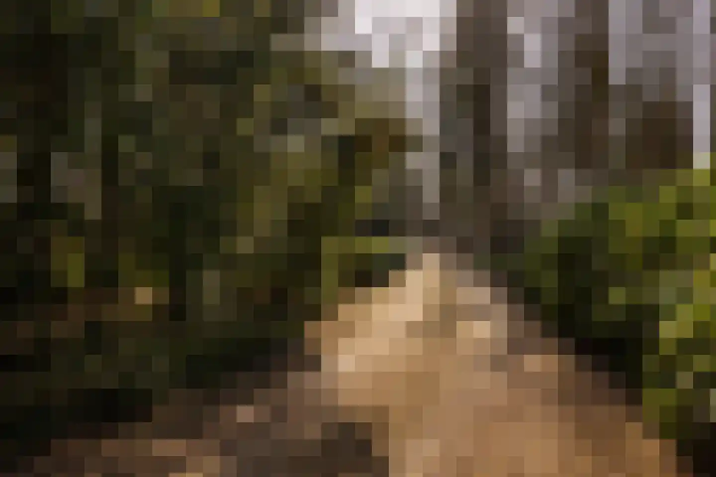 Vordensebosweg 1 Vorden thumbnail 27