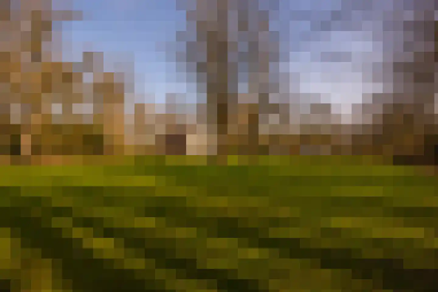 Vordensebosweg 1 Vorden thumbnail 28