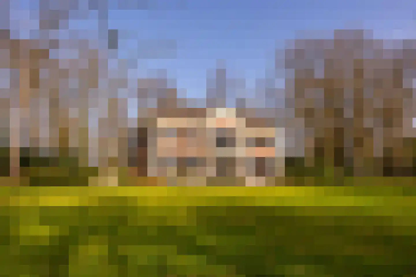 Vordensebosweg 1 Vorden thumbnail 29