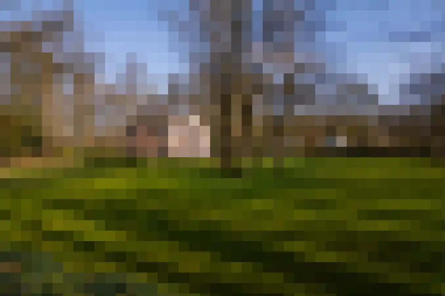 Vordensebosweg 1 Vorden thumbnail 31