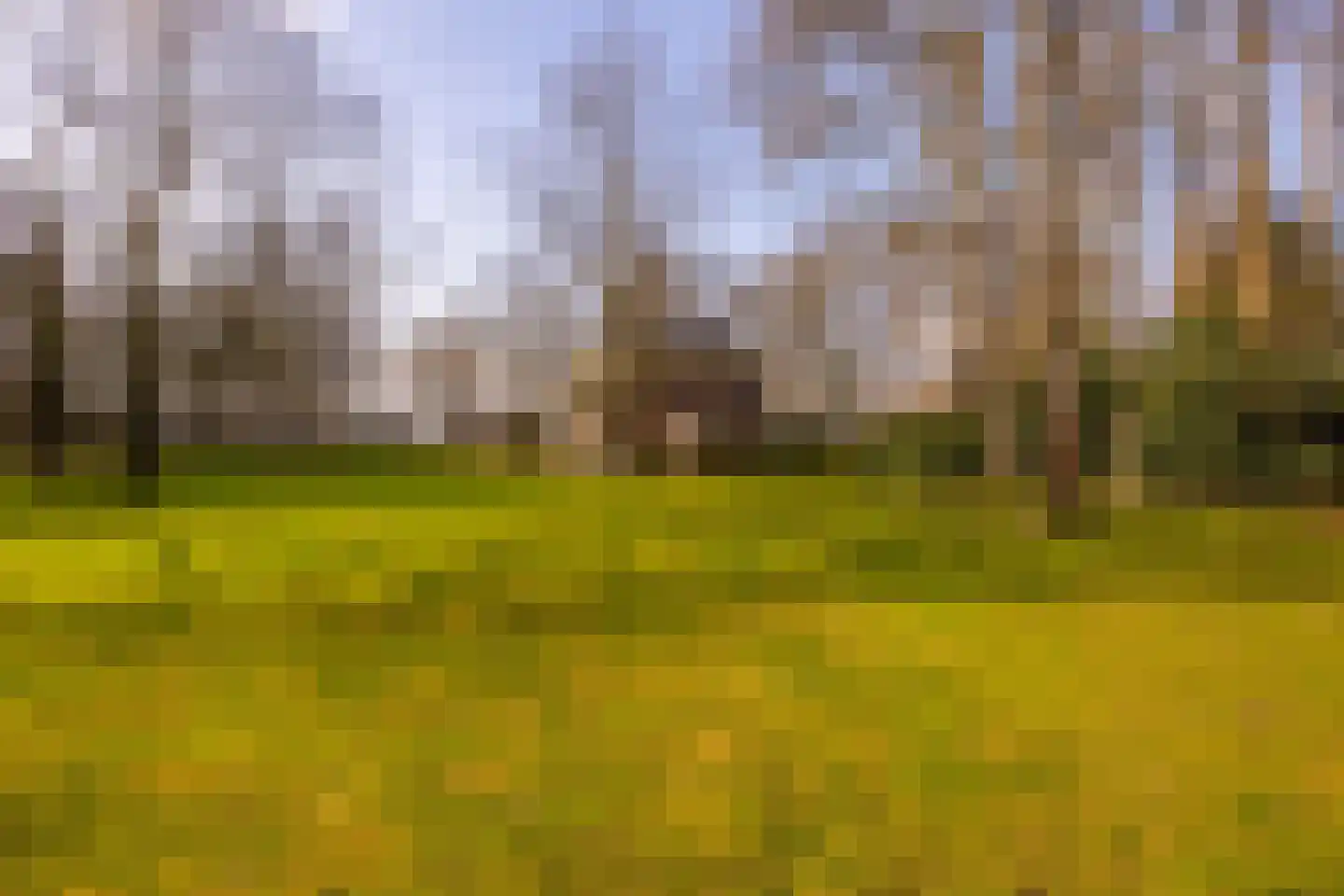 Vordensebosweg 1 Vorden thumbnail 33