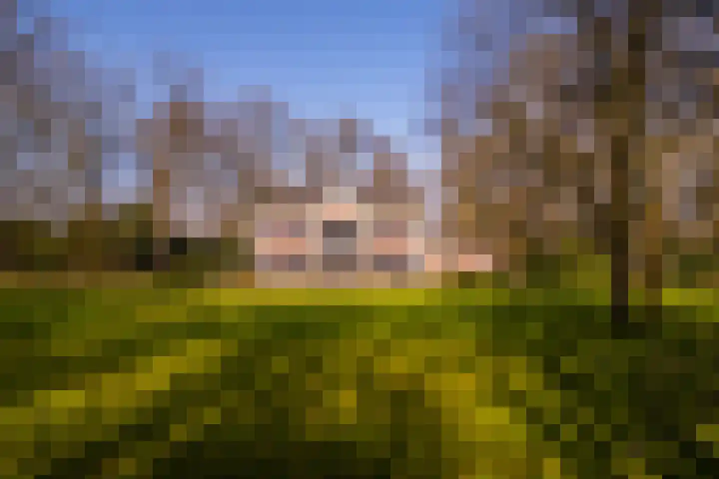 Vordensebosweg 1 Vorden thumbnail 34