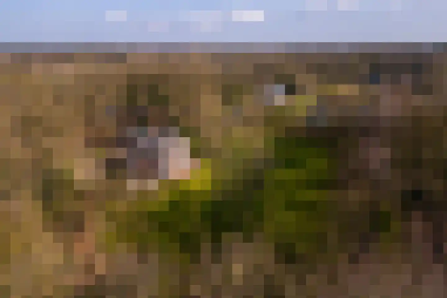 Vordensebosweg 1 Vorden thumbnail 40