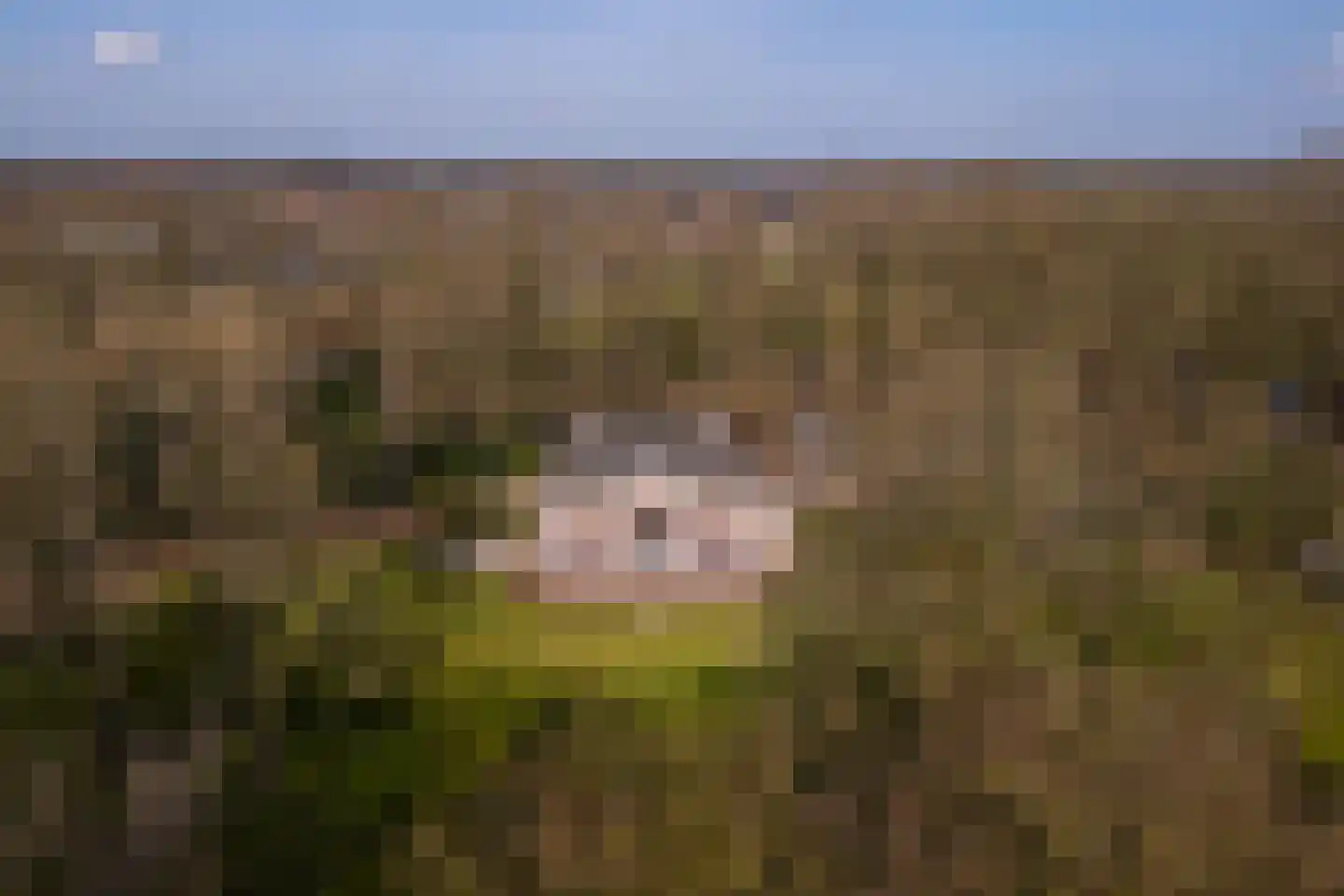 Vordensebosweg 1 Vorden thumbnail 41