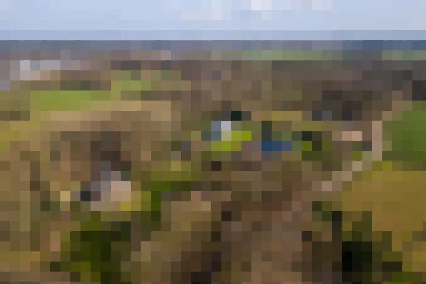 Vordensebosweg 1 Vorden thumbnail 42