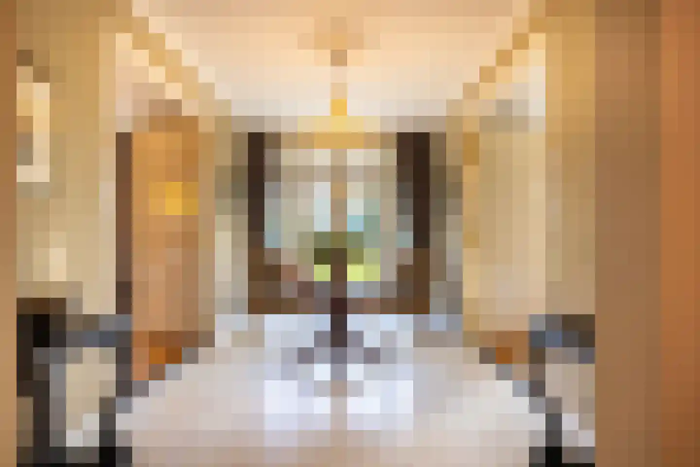 Vordensebosweg 1 Vorden thumbnail 6