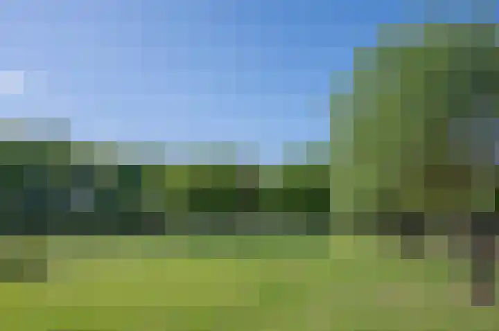 Vordenseweg 1 Baak thumbnail 15
