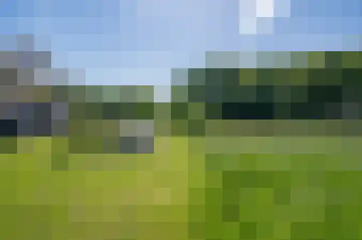 Vordenseweg 1 Baak thumbnail 16