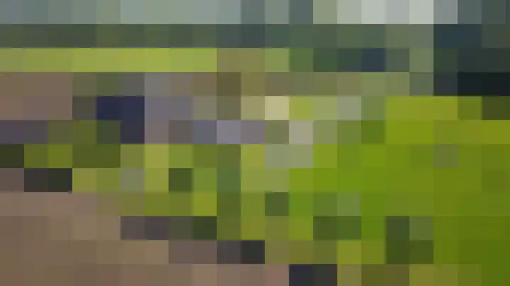Vordenseweg 1 Baak thumbnail 17