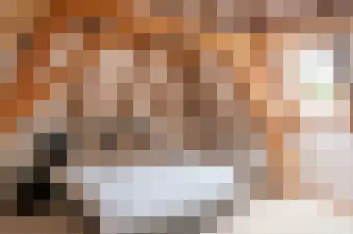Vordenseweg 1 Baak thumbnail 47