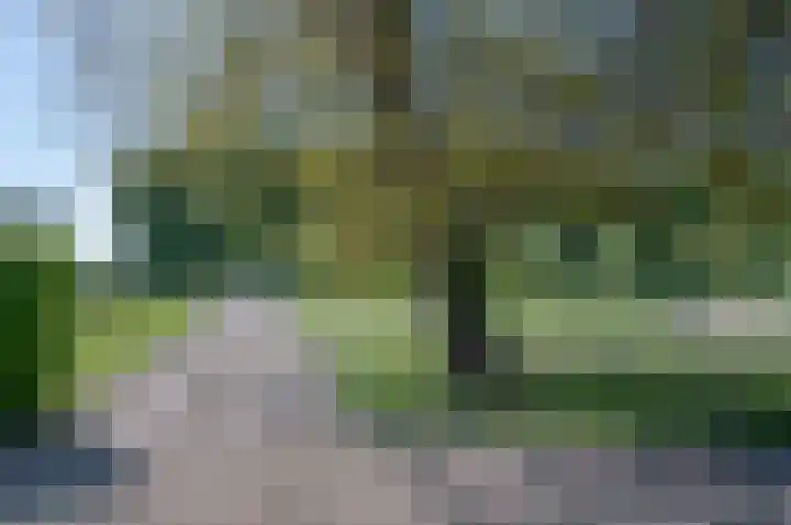 Vordenseweg 1 Baak thumbnail 7