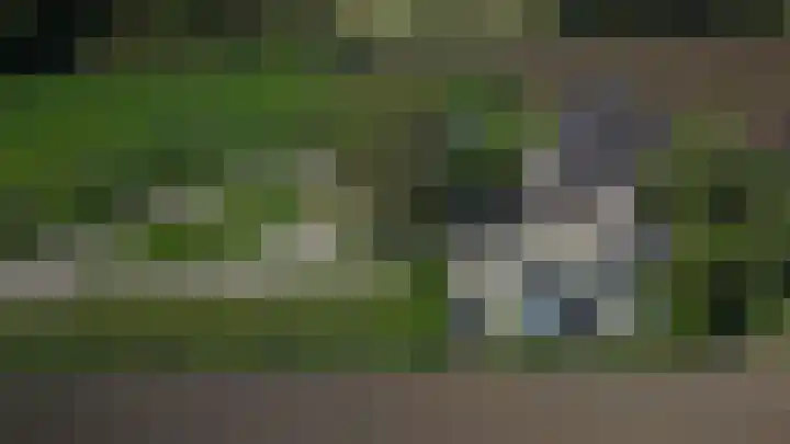 Vordenseweg 1 Baak thumbnail 8
