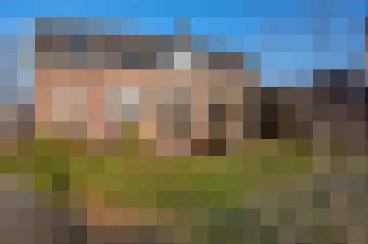 Vordenseweg 1 Hengelo (Gld) thumbnail 60