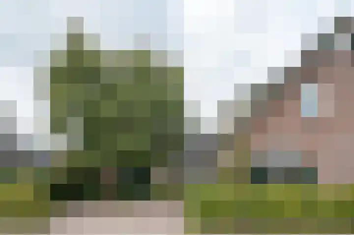 Vordenseweg 23 Hengelo (Gld) thumbnail 4