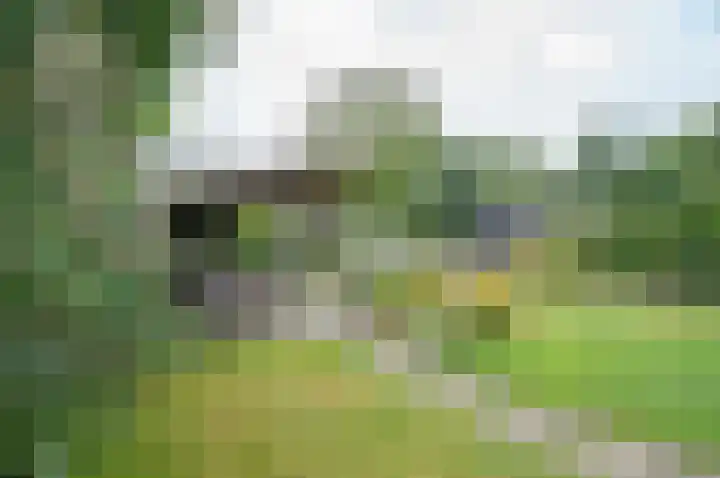 Vordenseweg 23 Hengelo (Gld) thumbnail 41