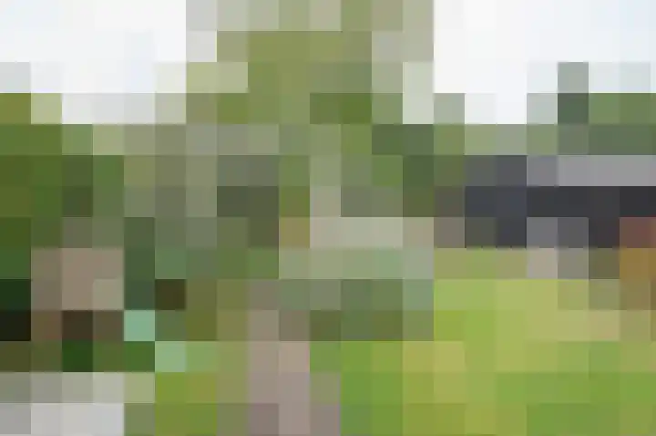 Vordenseweg 23 Hengelo (Gld) thumbnail 42
