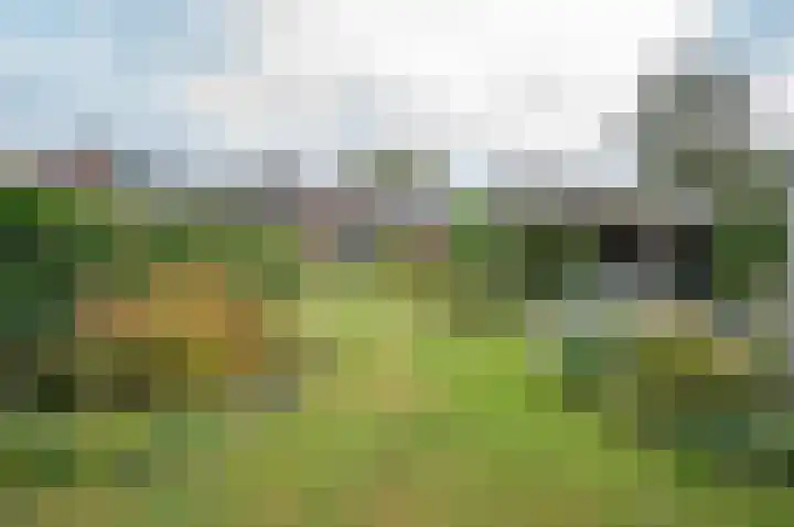 Vordenseweg 23 Hengelo (Gld) thumbnail 44