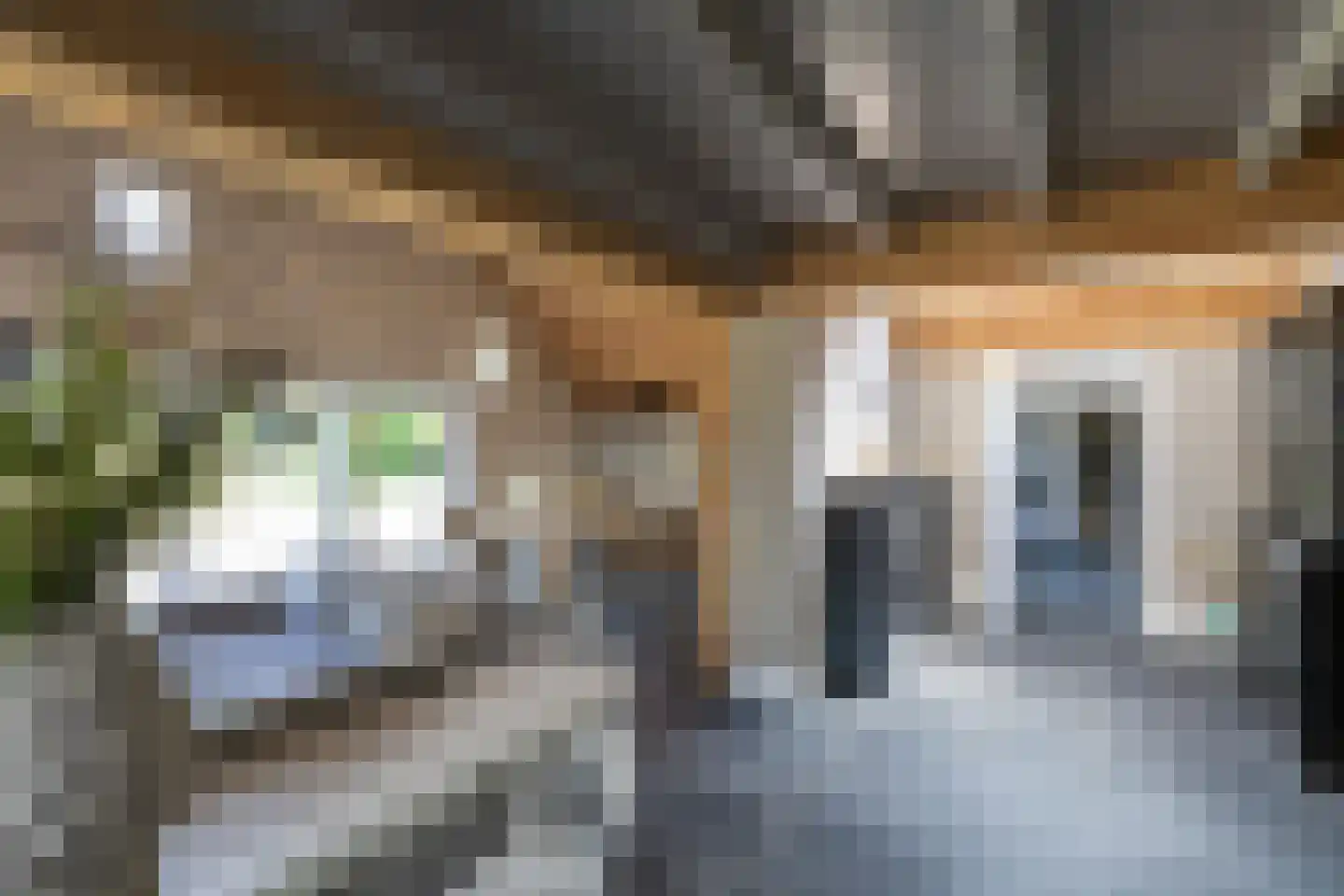 Vordenseweg 3 Warnsveld thumbnail 12