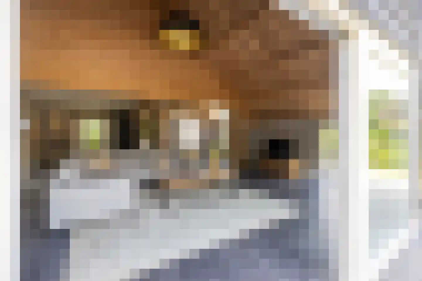Vordenseweg 3 Warnsveld thumbnail 15