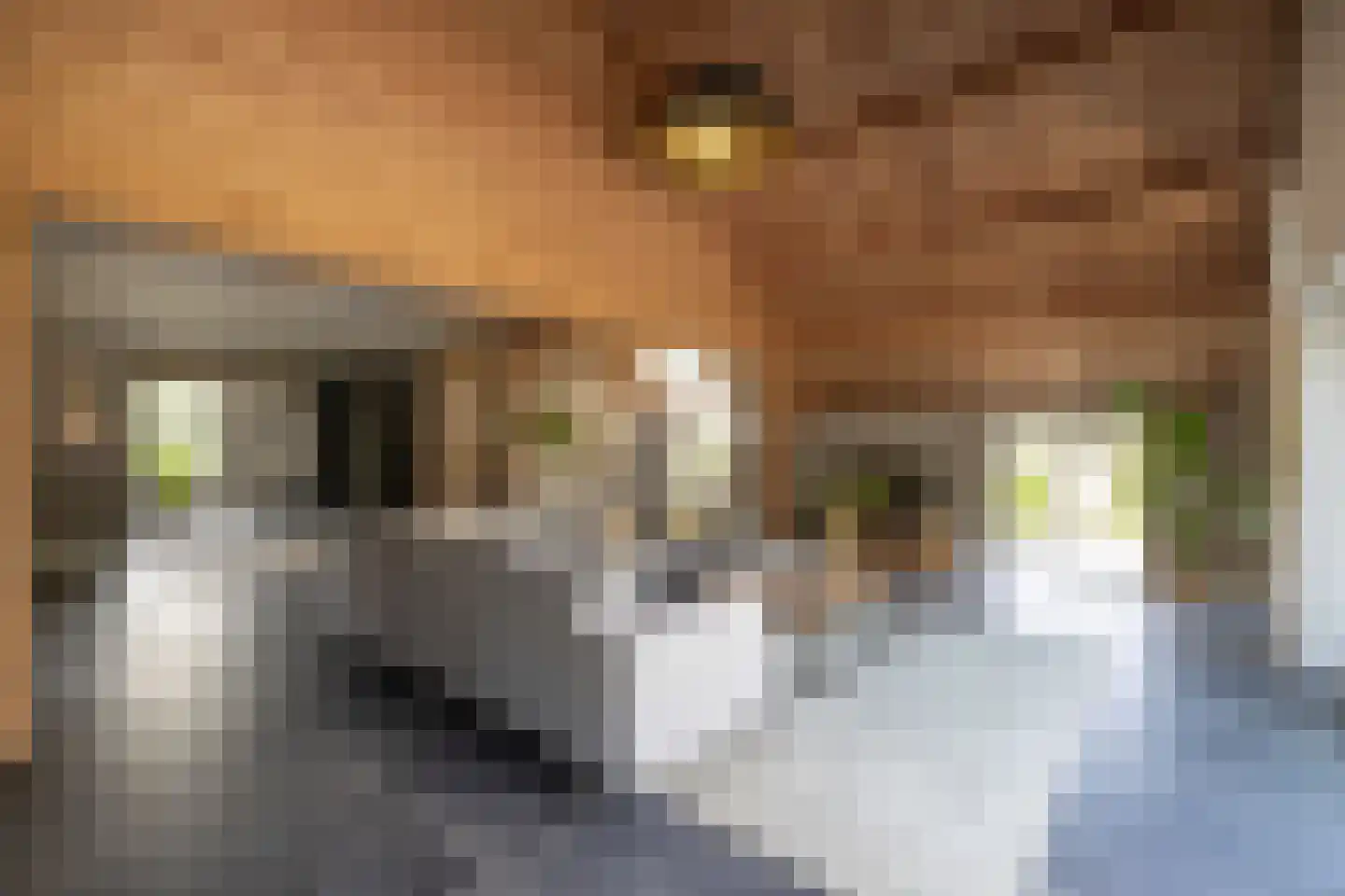 Vordenseweg 3 Warnsveld thumbnail 21