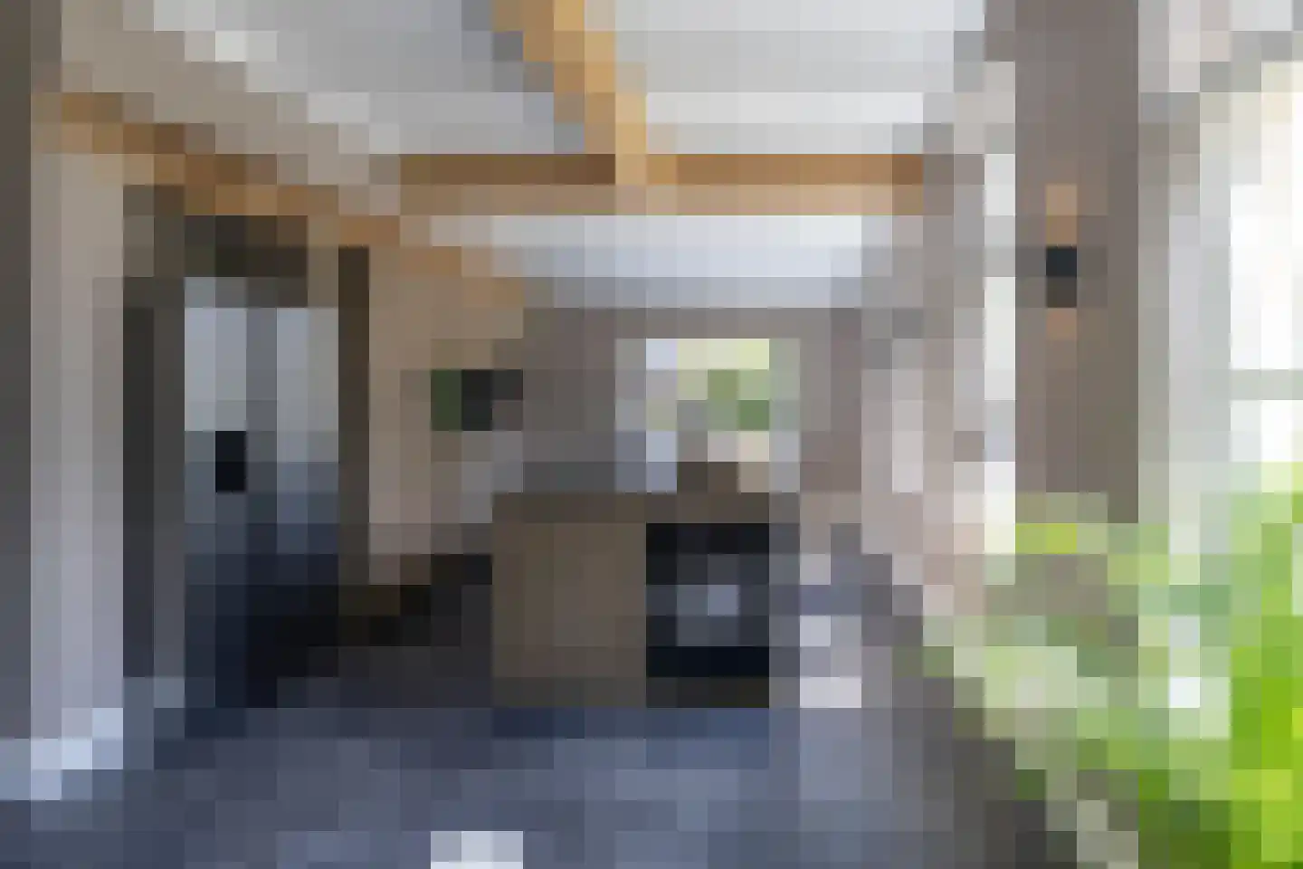 Vordenseweg 3 Warnsveld thumbnail 24