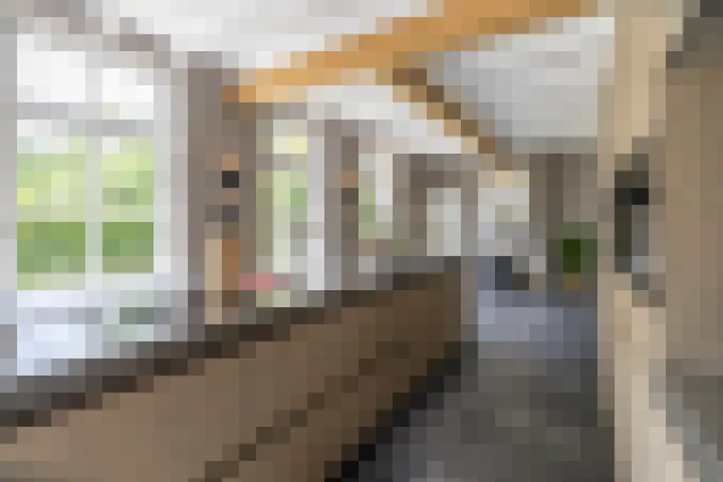Vordenseweg 3 Warnsveld thumbnail 27