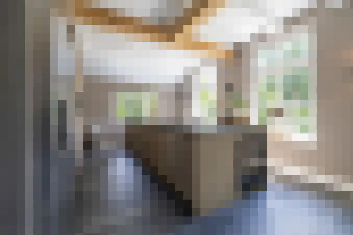 Vordenseweg 3 Warnsveld thumbnail 4