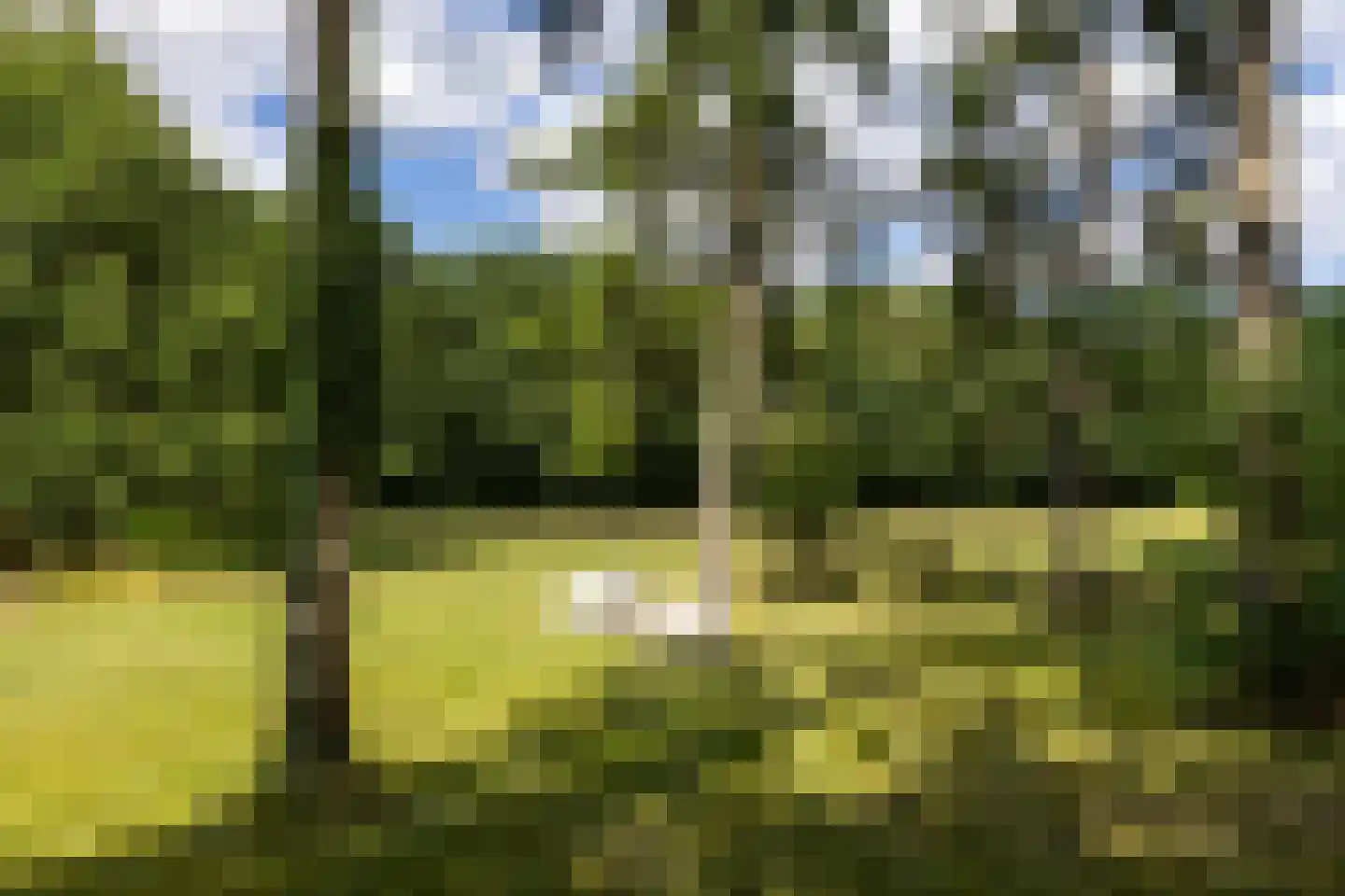 Vordenseweg 3 Warnsveld thumbnail 5