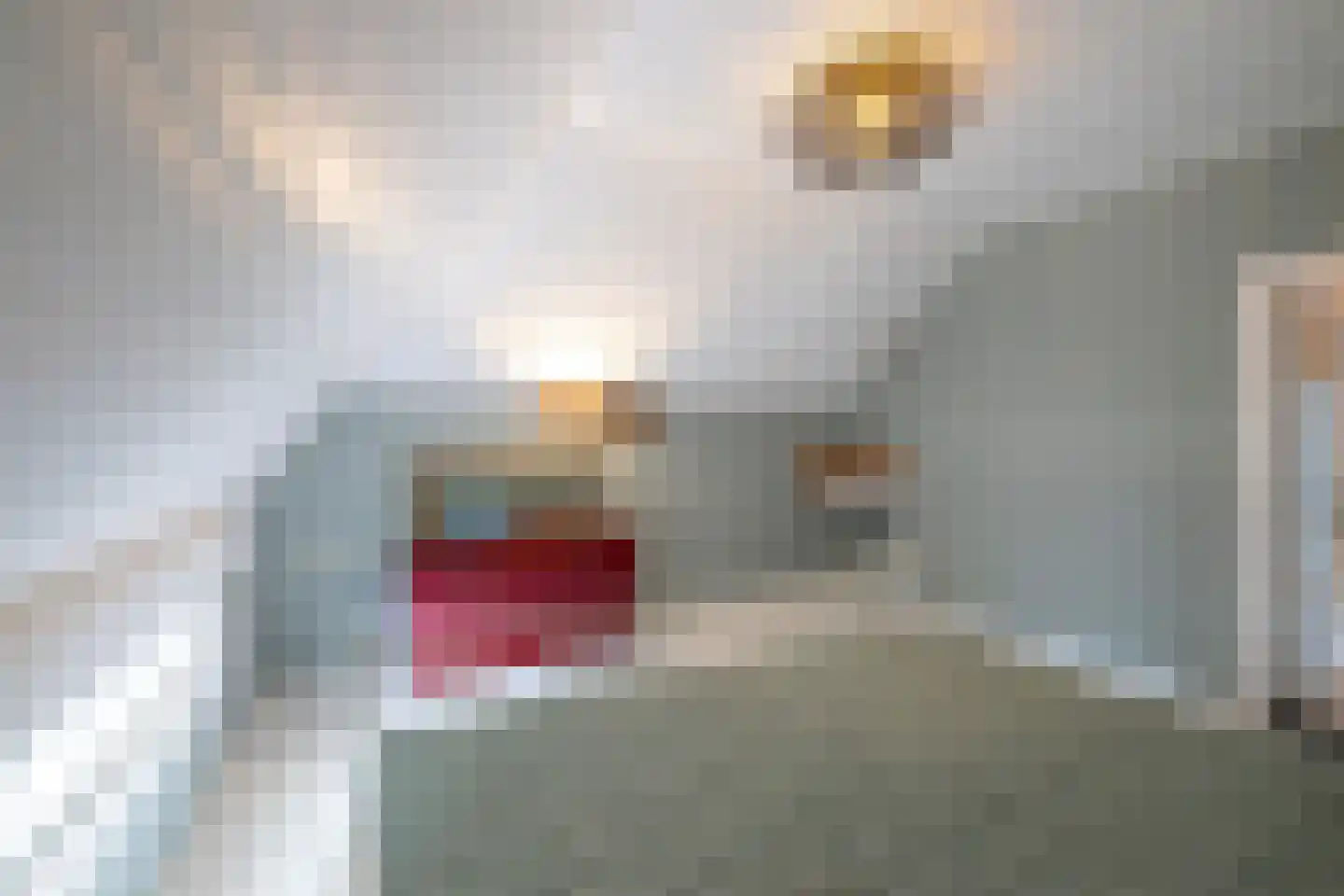 Vordenseweg 3 Warnsveld thumbnail 59