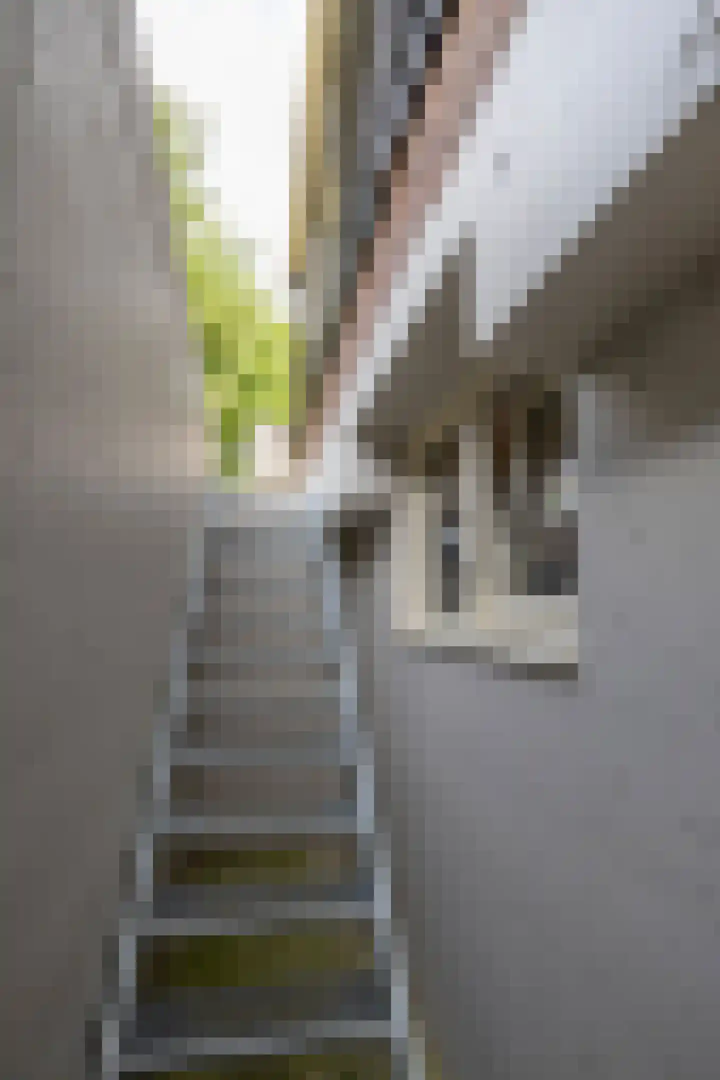 Vordenseweg 3 Warnsveld thumbnail 69