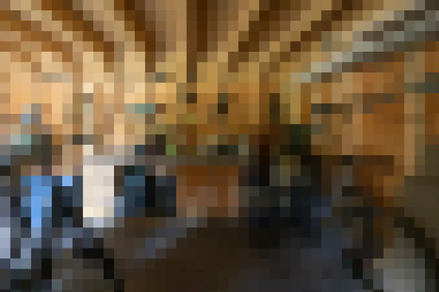 Vordenseweg 3 Warnsveld thumbnail 74