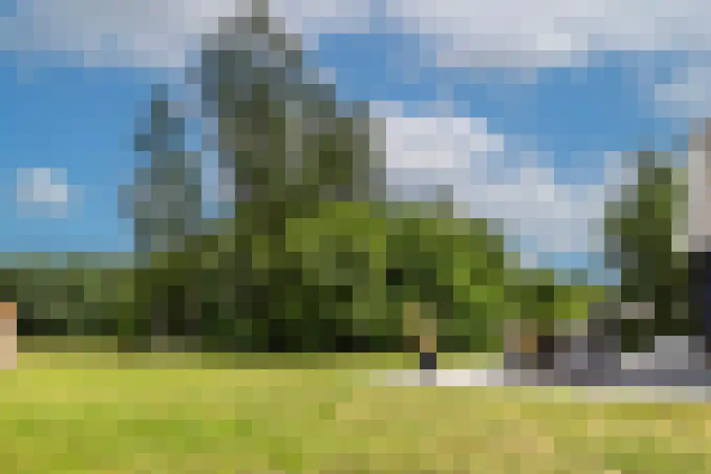 Vordenseweg 3 Warnsveld thumbnail 79