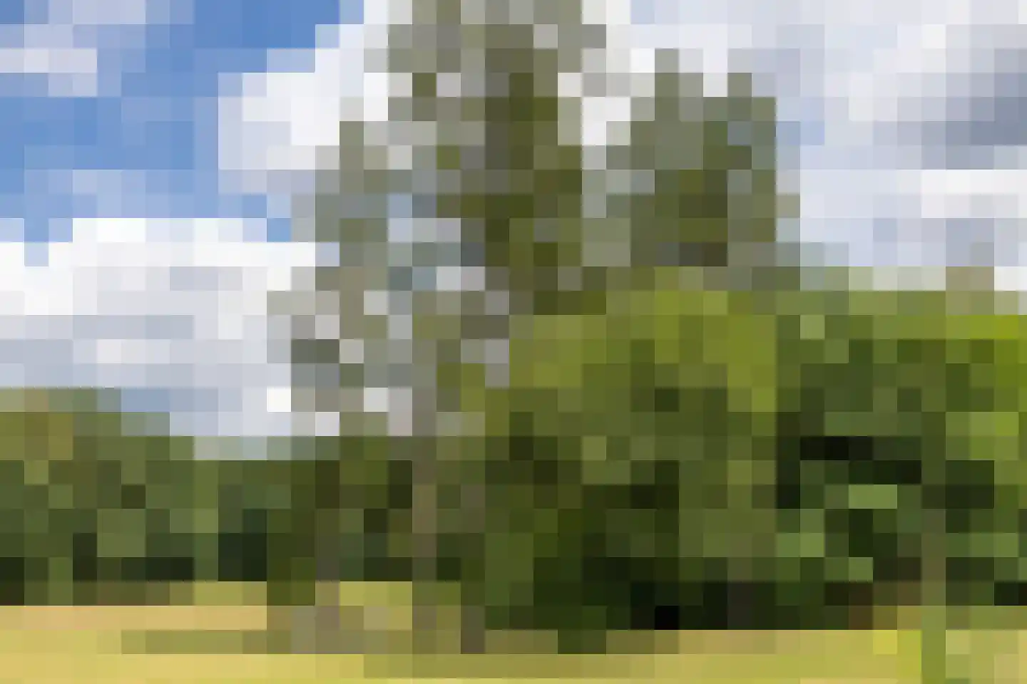 Vordenseweg 3 Warnsveld thumbnail 80