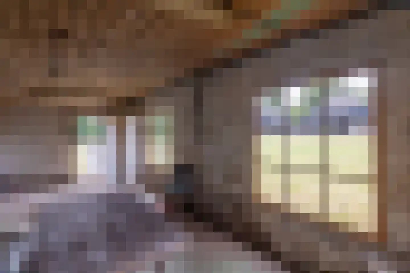 Vordenseweg 3 Warnsveld thumbnail 84