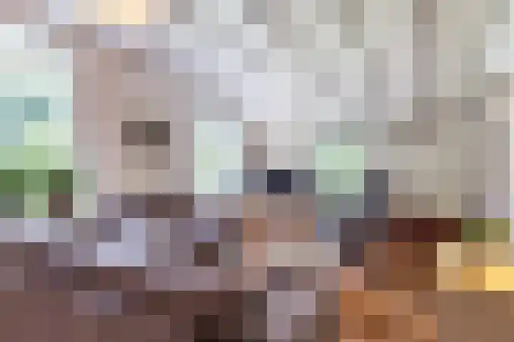 Vordenseweg 4 Ruurlo thumbnail 10