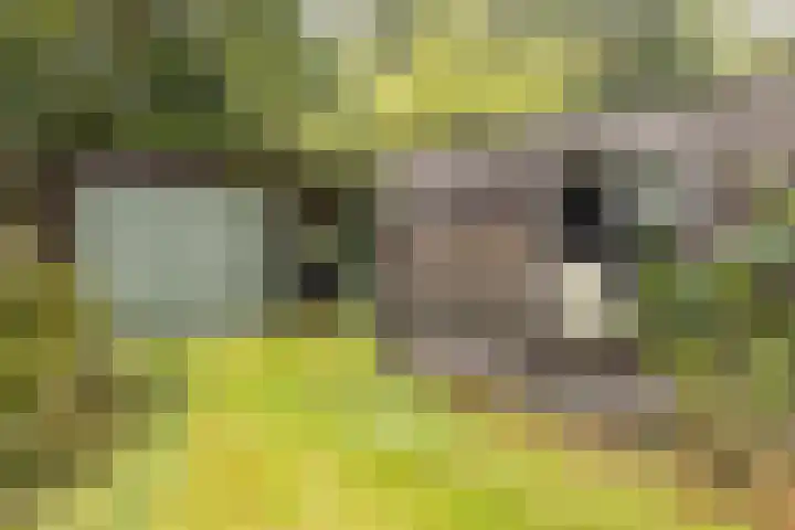 Vordenseweg 4 Ruurlo thumbnail 34