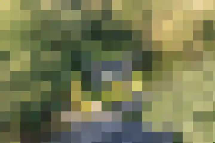 Vordenseweg 4 Ruurlo thumbnail 39