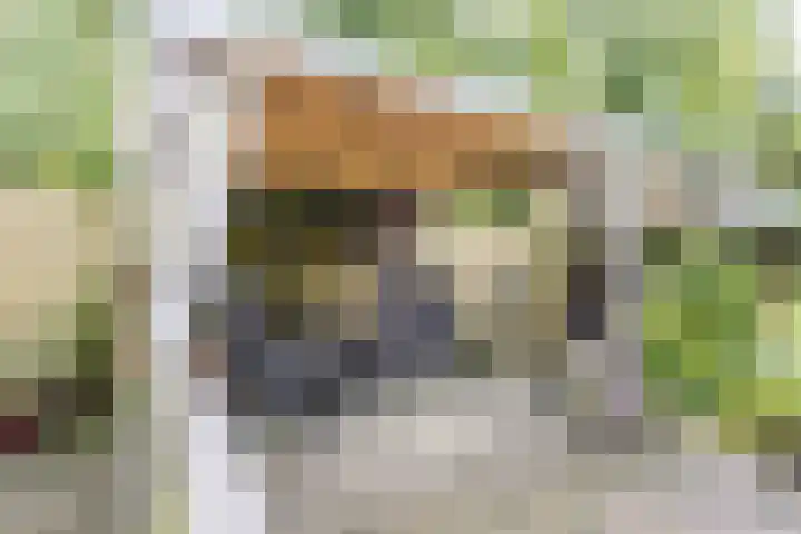 Vordenseweg 4 Ruurlo thumbnail 40