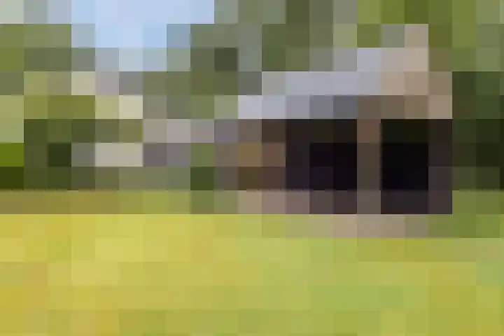 Vordenseweg 4 Ruurlo thumbnail 42