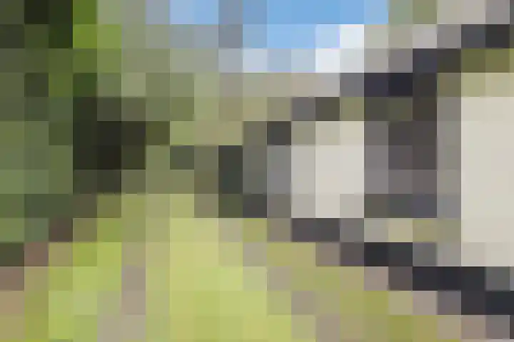 Vordenseweg 4 Ruurlo thumbnail 45