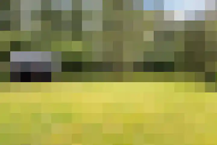 Vordenseweg 4 Ruurlo thumbnail 46