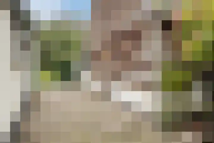 Vordenseweg 4 Ruurlo thumbnail 47