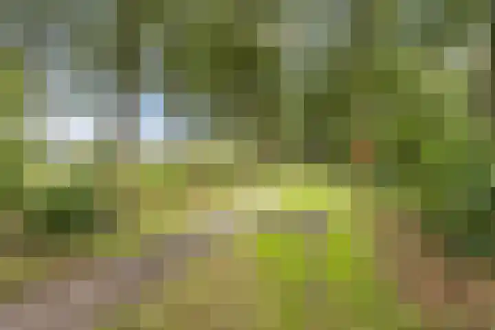 Vordenseweg 4 Ruurlo thumbnail 49