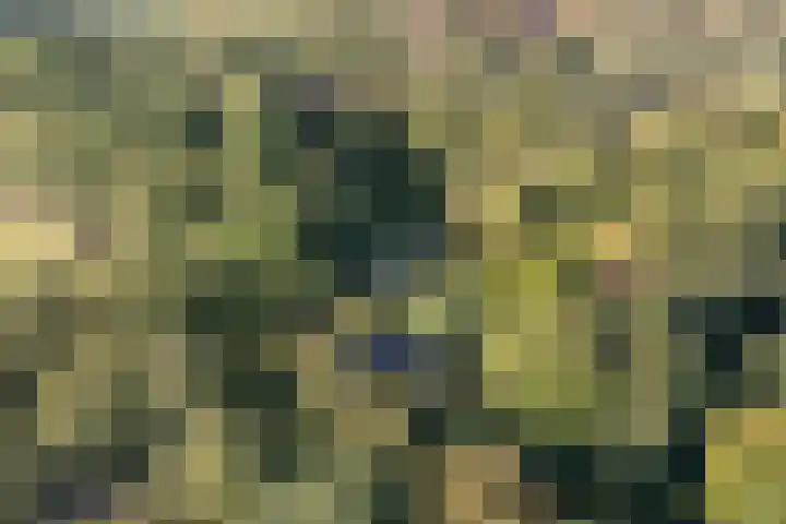 Vordenseweg 4 Ruurlo thumbnail 50