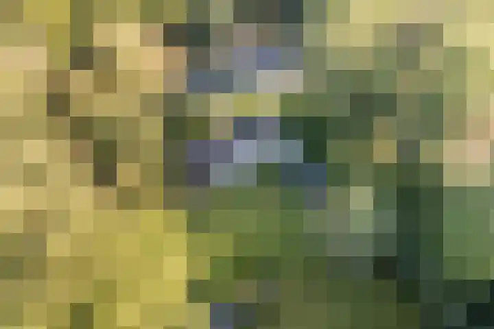 Vordenseweg 4 Ruurlo thumbnail 51